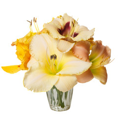 A bouquet of yellow daylilies isolated on a white background.