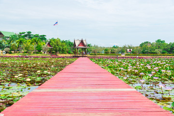 Amazing Park in Chiang Khruea,Lotus Park at Sakon Nakhon, Thailand(Thai text that appears in an image. translations is Lotus park )