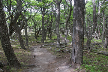 Los Glaciares National Park, Argentina