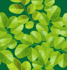 leaf pattern background2