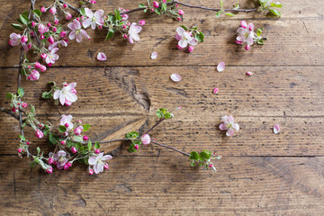 pink spring flowers on old wooden background