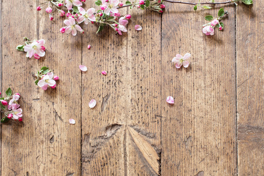 Pink Spring Flowers On Old Wooden Background