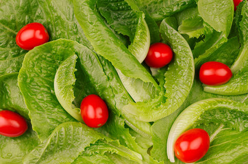 Spring healthy food -  cherry tomatoes and green leaves spinach pattern, top view.