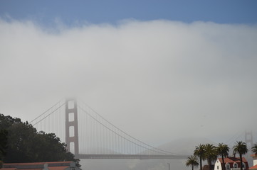 Mist Covering the Bridge