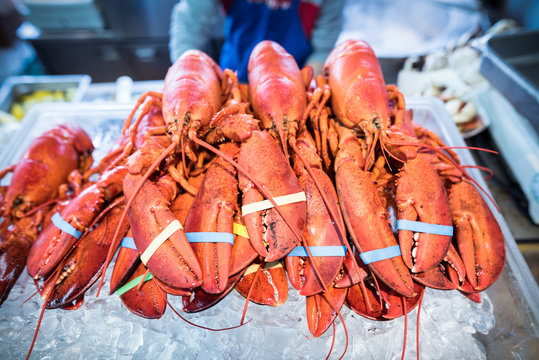 homard rouges de Californie