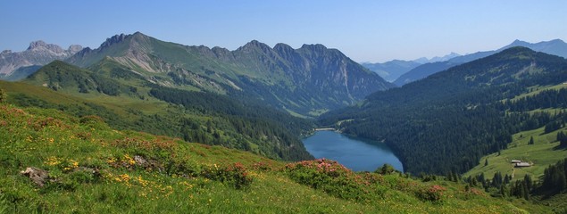 Fototapeta na wymiar Lake Arnensee and green meadow. Summer scene near Gstaad, Switzerland.