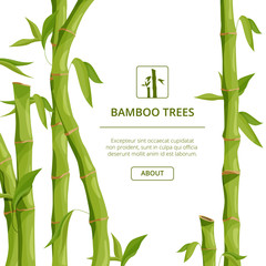 Eco background pictures with decorative illustrations of bamboo and place for your text