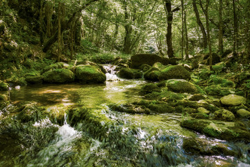 River Mladejka in the Strandja national park, in Bulgaria, Rocks and trees covered with moss