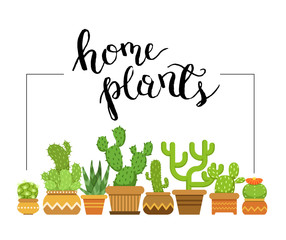 Vector home plants framed illustration with home cacti in pots
