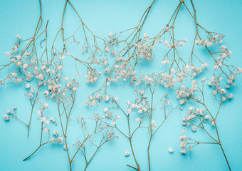 Floral layout with little white flowers at turquoise blue background, top view