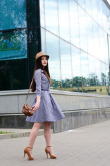 beautiful girl in a dress