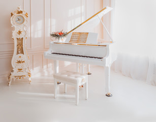 white grand piano standing in elegant interior