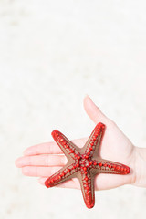 Fototapeta na wymiar Woman's palm holding starfish sandy beach background