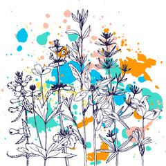 Background with drawing herbs and flowers
