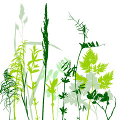 Tempalte with leaves and plants silhouettes