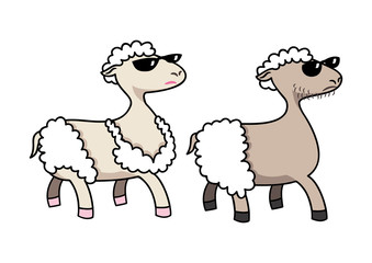 2 cool sheep in summer time