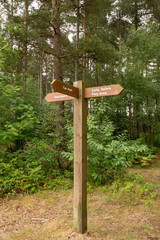signpost forest road