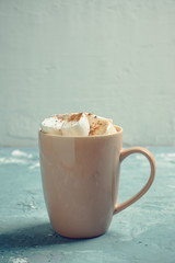 Hot chocolate with marshmallows, cinnamon and anise. Selective focus.