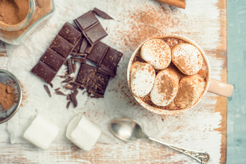 Hot chocolate with marshmallows, cinnamon and anise. Selective focus.