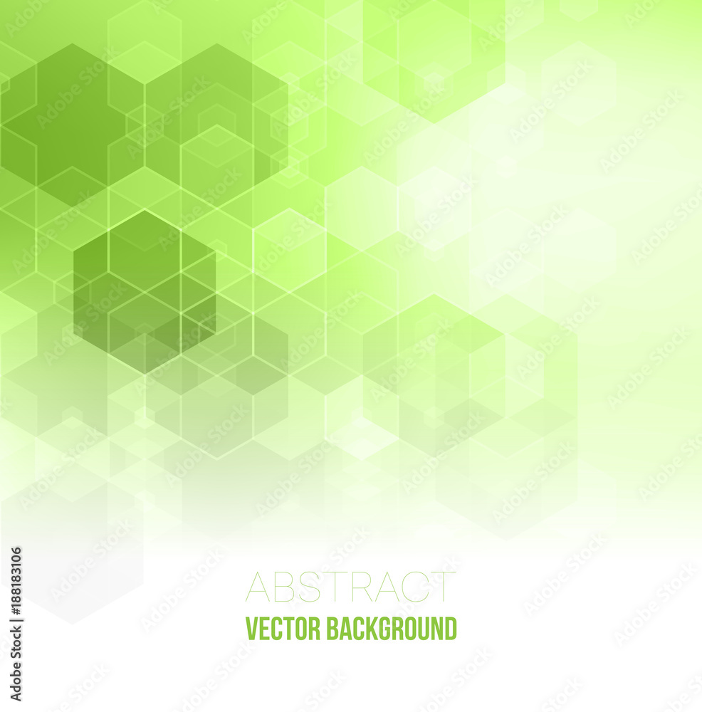 Wall mural vector abstract geometric background. template brochure design. green hexagon shape