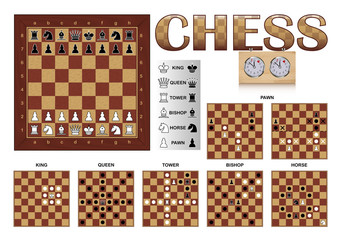 Board and Movements of Chess