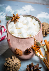 Hot chocolate with marshmallows, cinnamon and anise, served with christmas decoration. Selective focus.