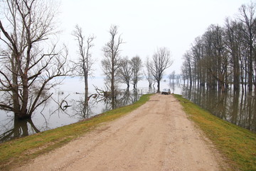 Fototapeta na wymiar Flooded road and forest