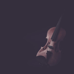 Fototapeta premium Violin musical instruments of orchestra closeup on black