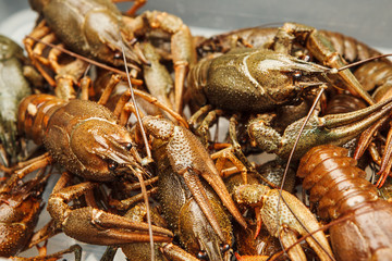 Fresh crawfish background, crayfish seafood lunch, gourmet dish