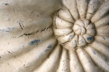 Detail of carved stone ornament with ammonite shell