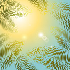 Fototapeta na wymiar Tropical background. Leaves. Palms. Sun. Exotic plants.