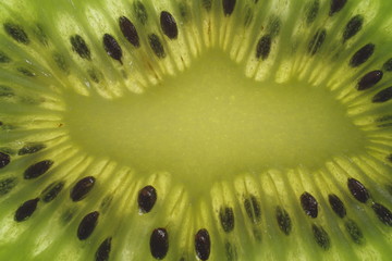  cut kiwi fruit macro