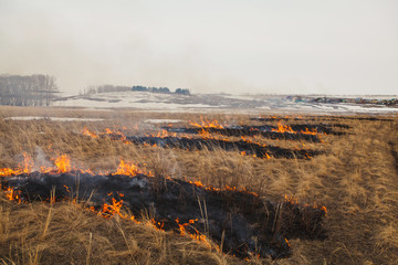 spring burning grass on the background of the village. fires, careless handling of fire.