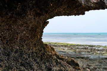 Low tide on tropical beach