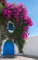 View of the white wall with a blue door and a window covered with a bush of flowering bougainvillea. Tunisia. Sidi Bou Said.  - 188193740