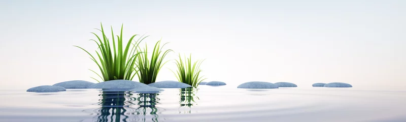 Papier Peint photo Zen Pierres et herbe au format paysage du lac