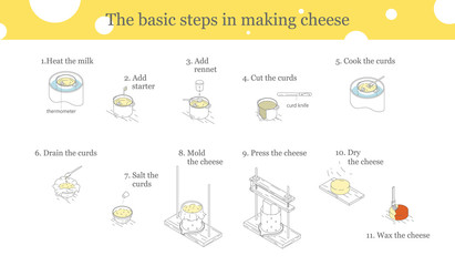 Illustration of the process of cheese production. Cooking cheese instructions.