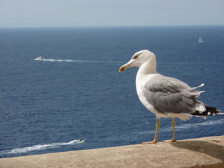 Face à la mer 