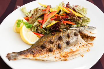 Grilled gilt-head bream fish