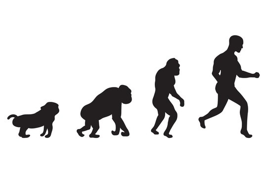 Illustration of Human evolution process. 4 stages. Darwin's theory. Black vector silhouettes.
