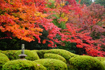 京都詩仙堂の紅葉