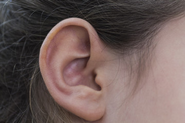 orecchio destro