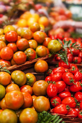 Fresh tomatoes  background. Organic Ripe red tomatoes in market. Harvesting concept.