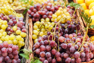 Grapes background. Organic Ripe red and white grape   at  market. Harvesting concept. Grape in a...