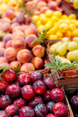 Red ripe  organic plums in the market.  Whole fresh plums harvest.  Food background