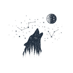 Hand drawn howling wolf and constellations textured vector illustrations.