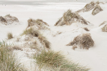 Beach on Romo island - Denmark