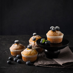Blueberries muffins or cupcakes with mint leaves on black texture