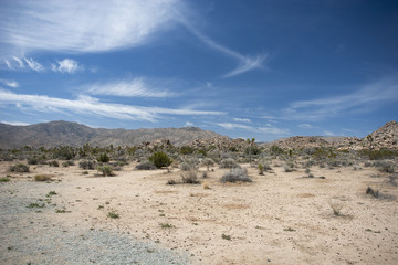 Desert