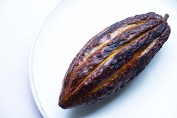 Kakaofrucht im Ganzen als Stimmungsbild auf hellem HIntergrundf